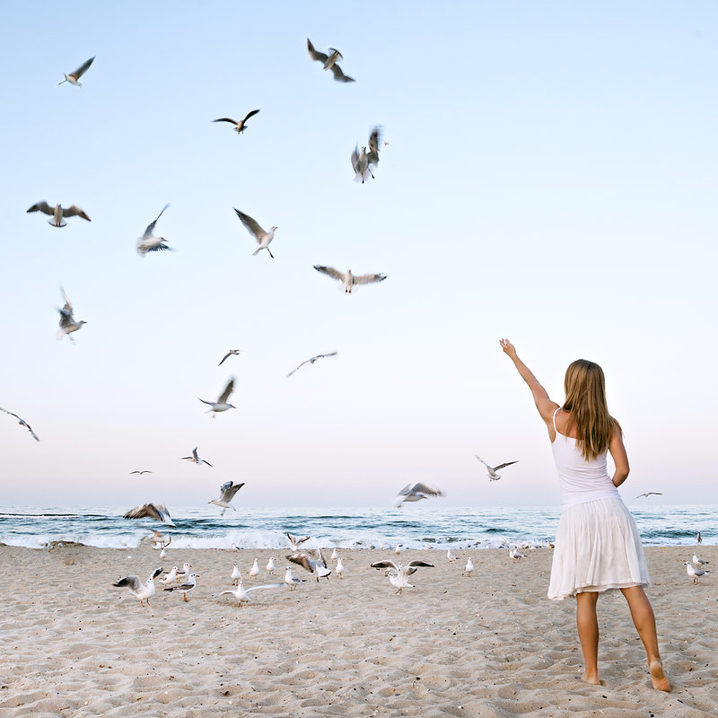 Young Girl at Beach are Feeding Seagulls
