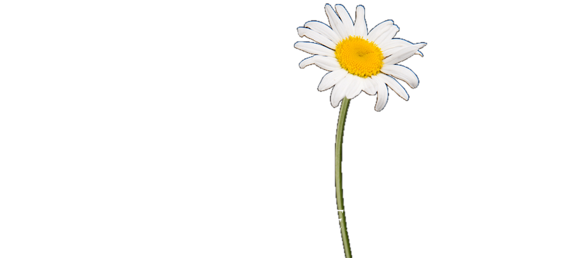 Rosamond Lloyd Hypnotherapy